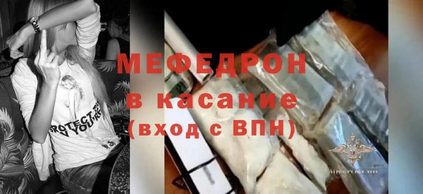 молекула духа Вяземский