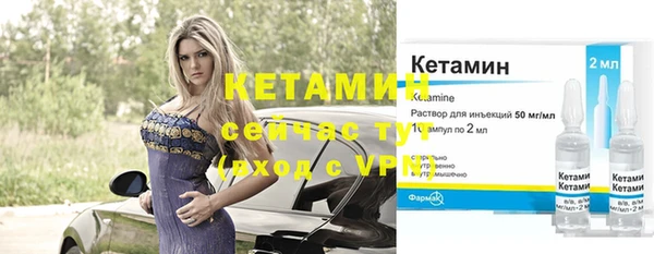 прущие грибы Вязники