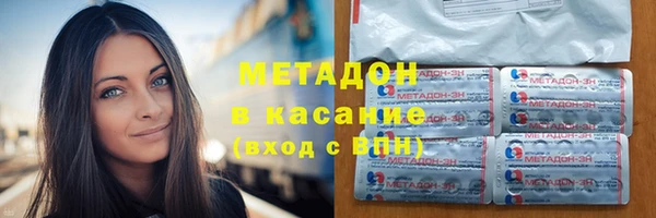 прущие грибы Вязники
