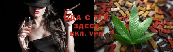 молекула духа Вяземский