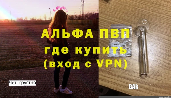 молекула духа Вяземский