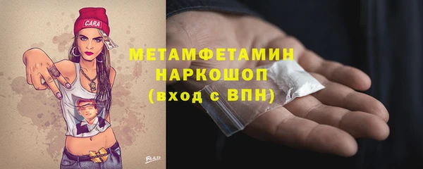 прущие грибы Вязники