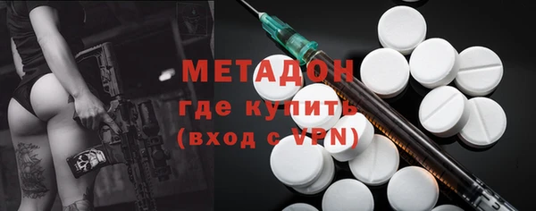 прущие грибы Вязники