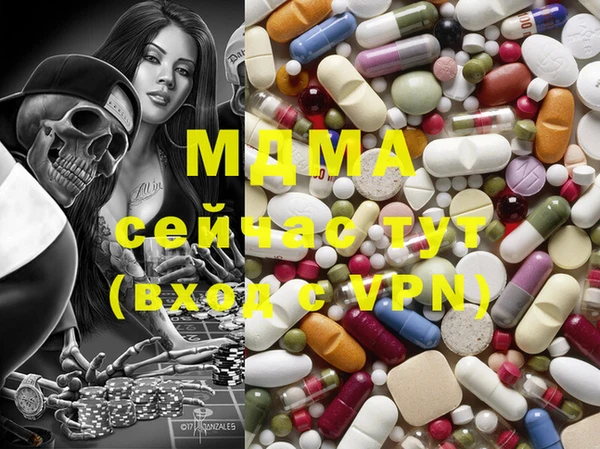 прущие грибы Вязники