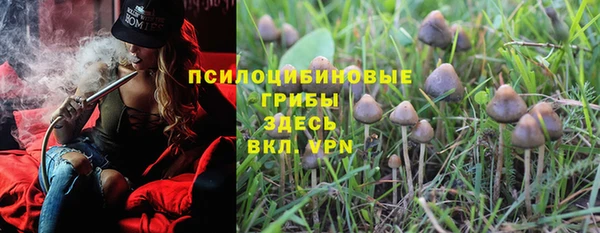 молекула духа Вяземский