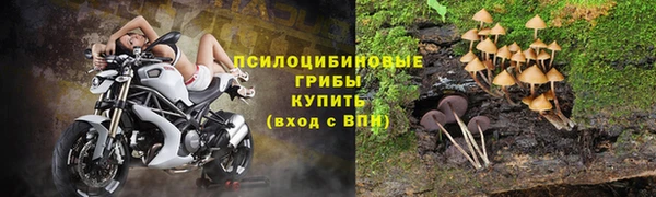 2c-b Вязьма