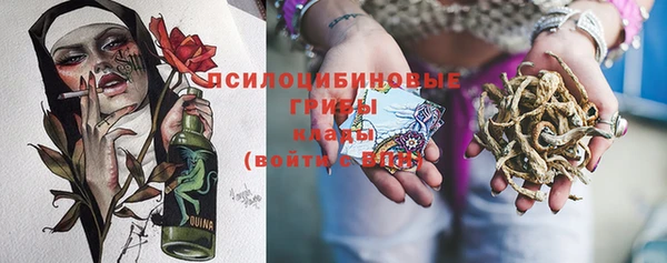 молекула духа Вяземский