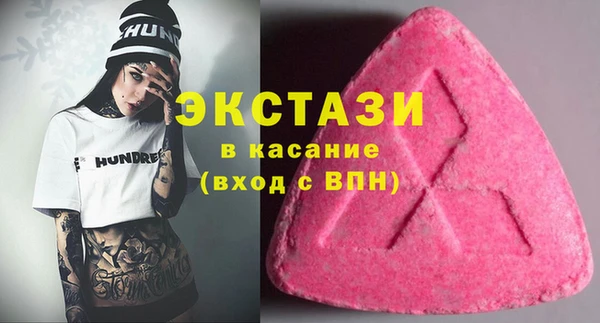 молекула духа Вяземский