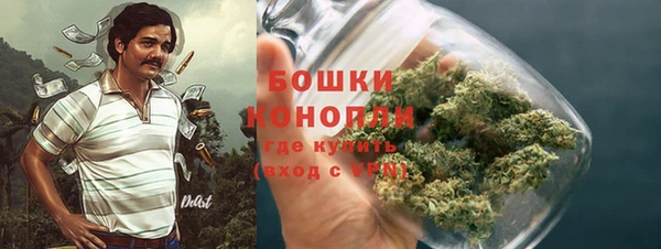 молекула духа Вяземский